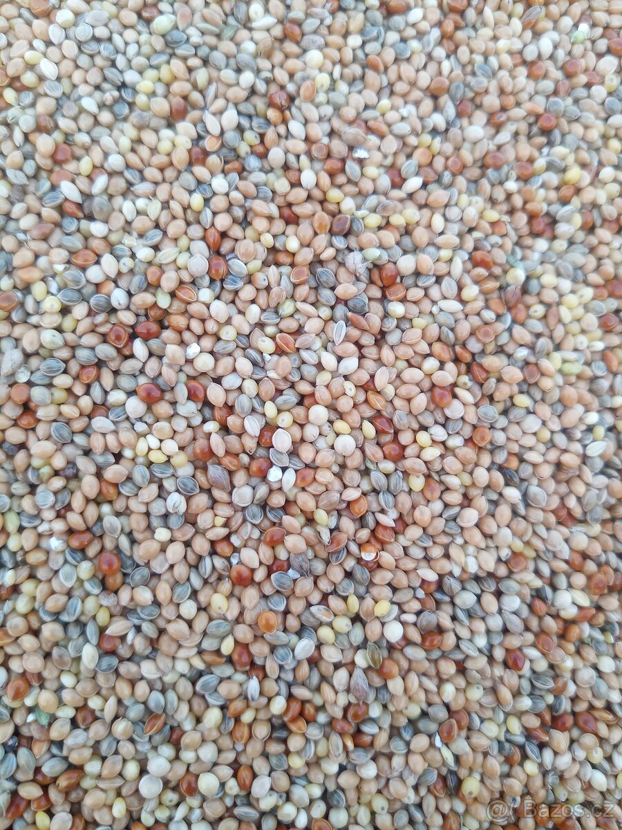 Proso mix
