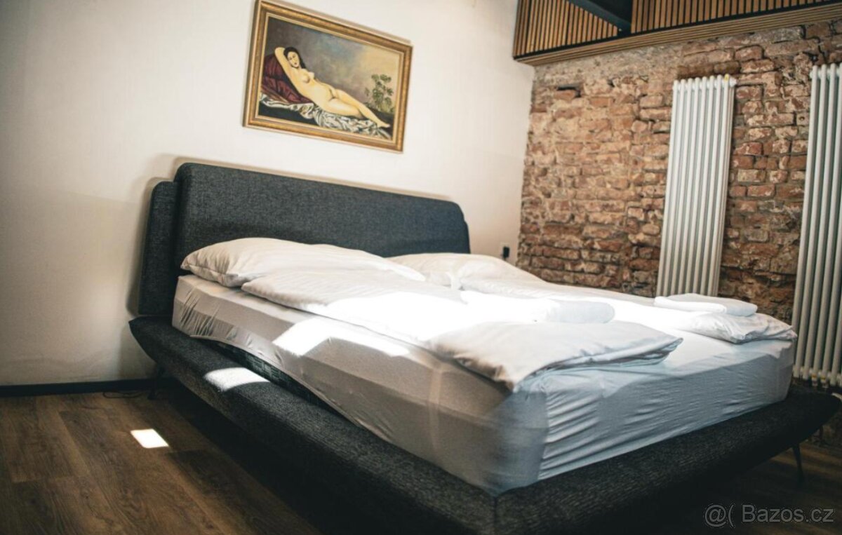 Pronajmu suterenní garsonku od 21. prosince do března - Br