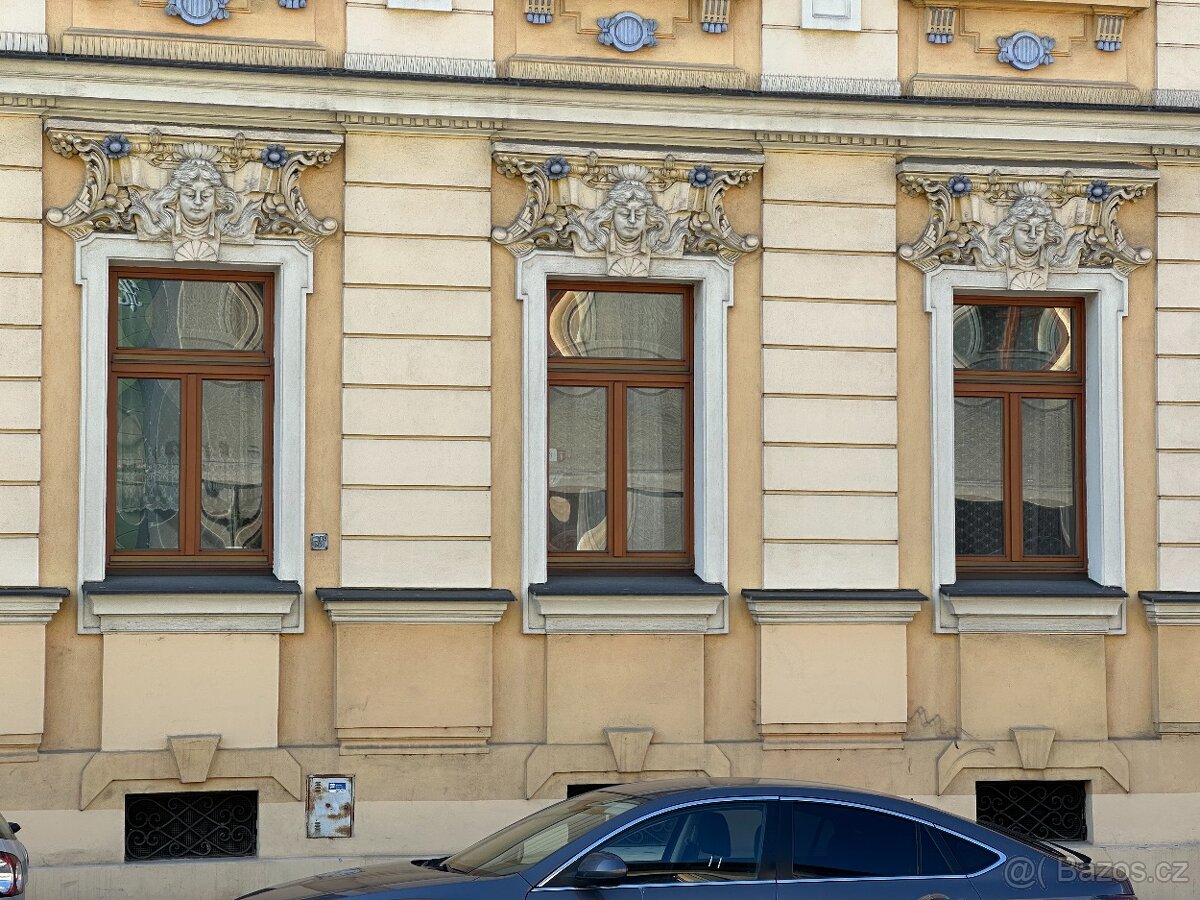 dřevěná Euro okna