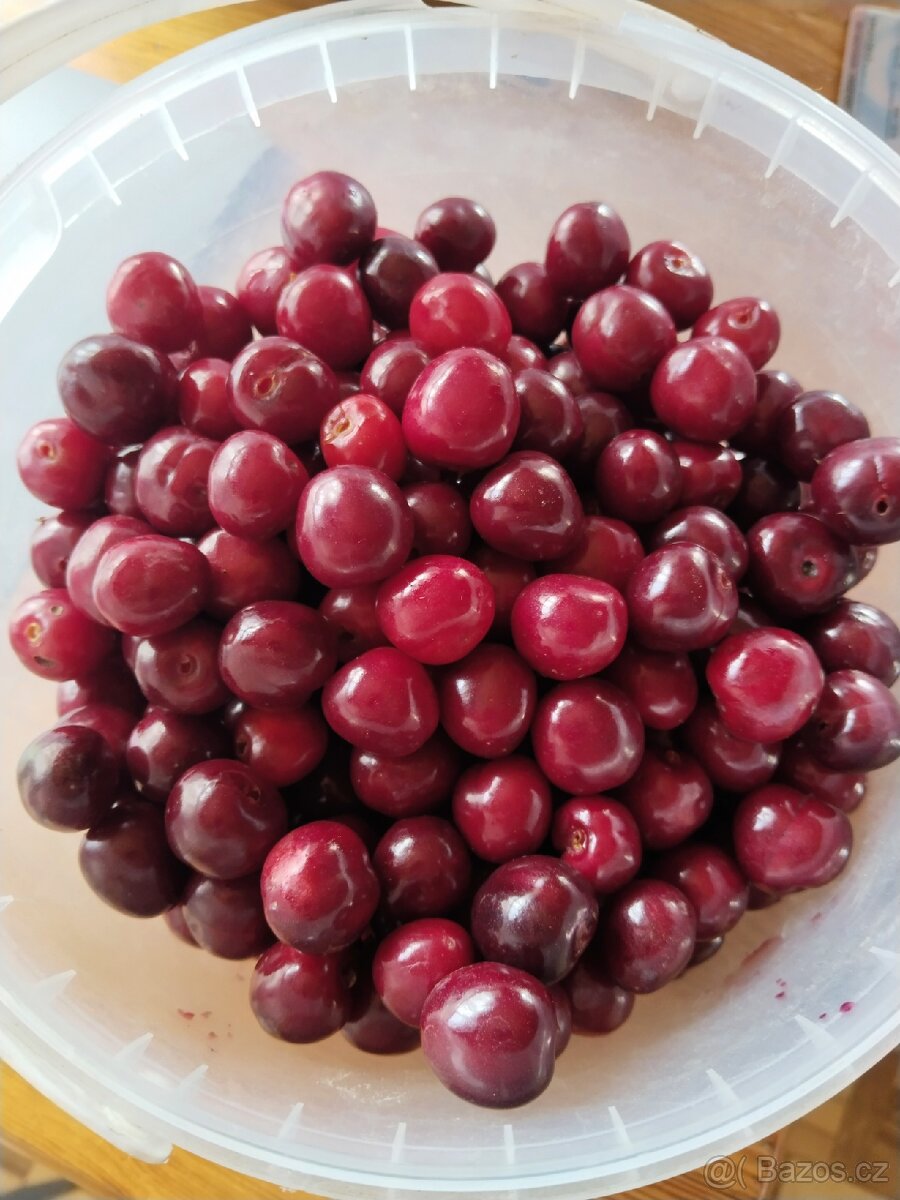 Třešně