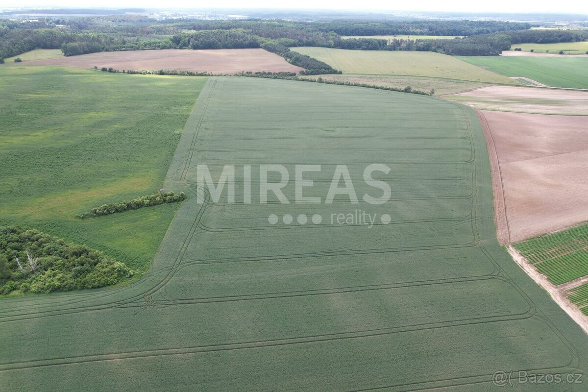 Jiřice, prodej pole 23 867 m2, okr. Nymburk.