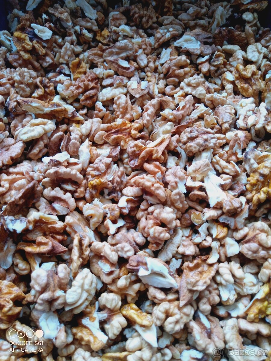 Vlašské ořechy letošní loupané suché