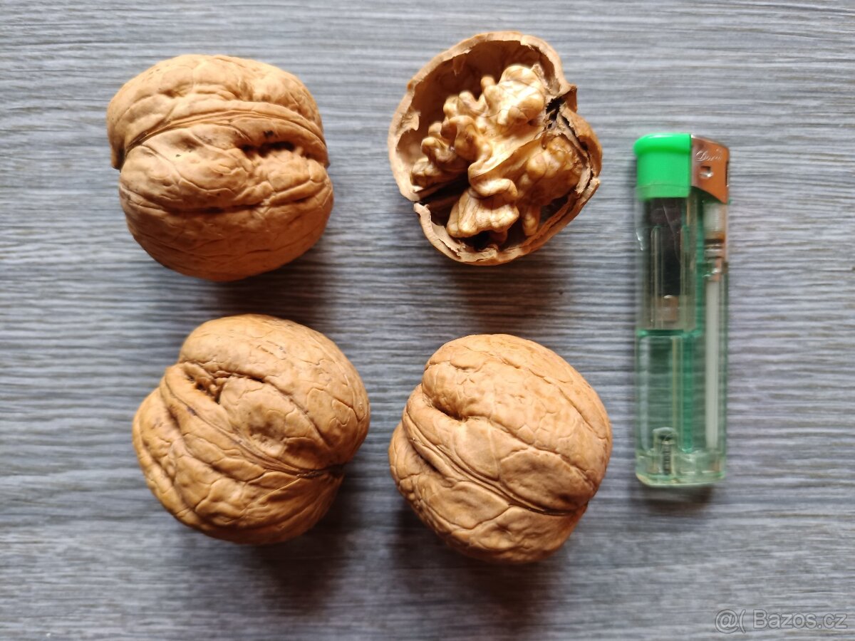 Vlašské ořechy - papíráky