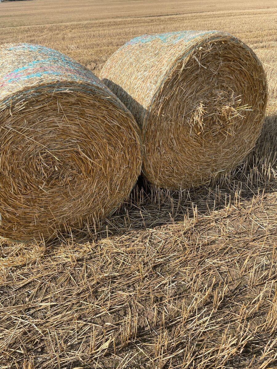Sláma