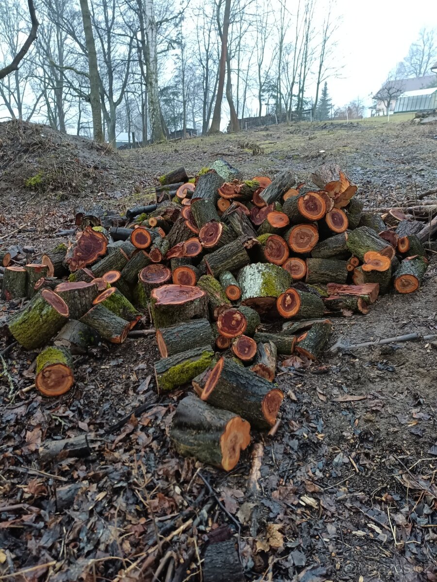 Dřevo na uzení