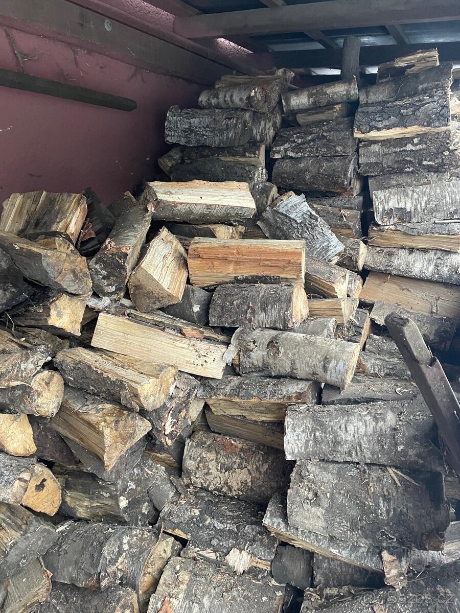 Prodám dřevo bříza