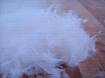 Duchny a polštáře