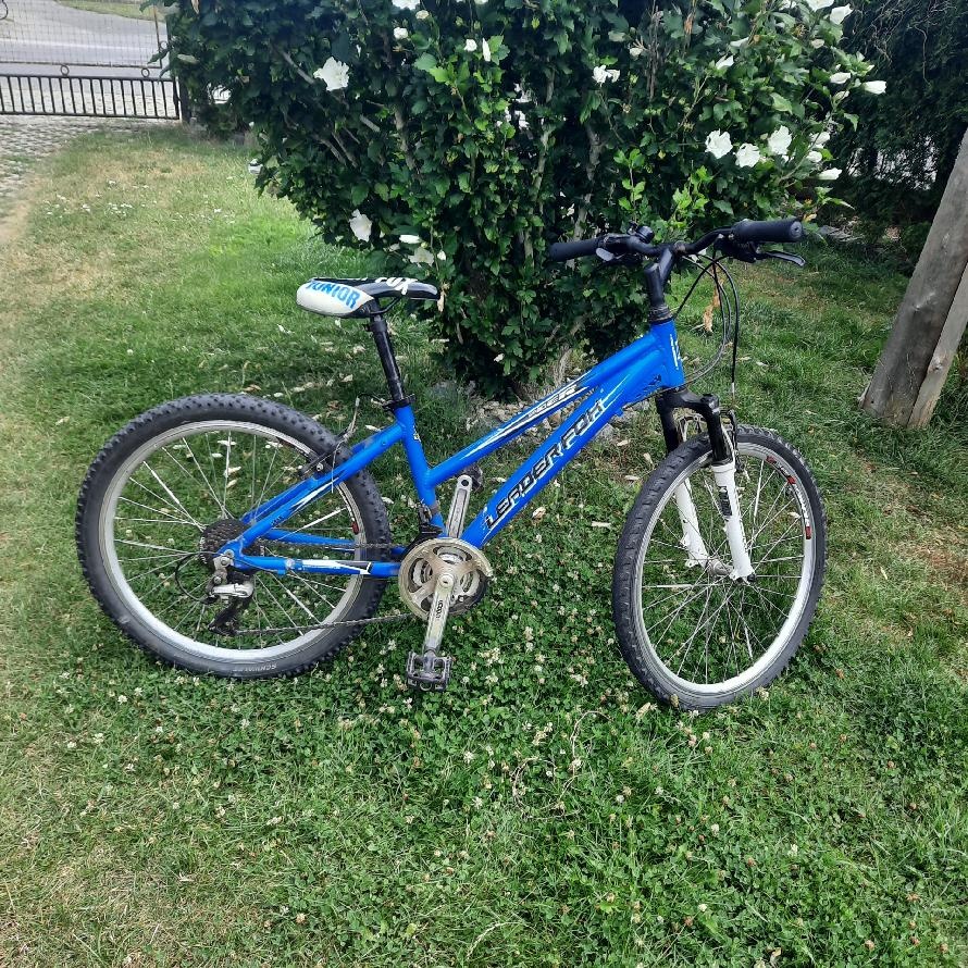 Dětské kolo "24