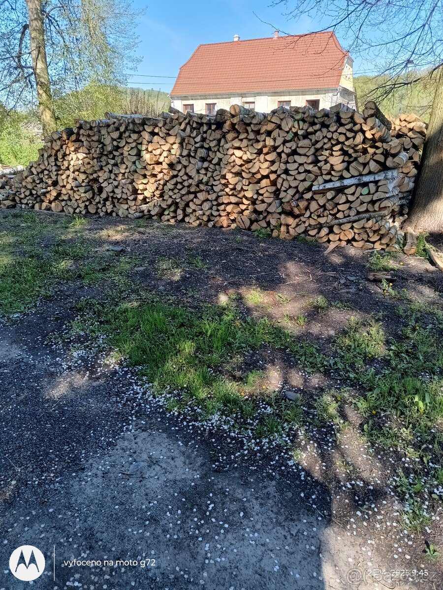 Palivové dřevo