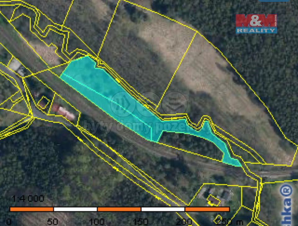 Prodej louky, 5874 m², Bakov nad Jizerou - Malý Rečkov