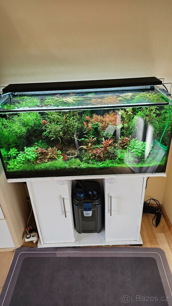 Prodám komplet akvárium 180l