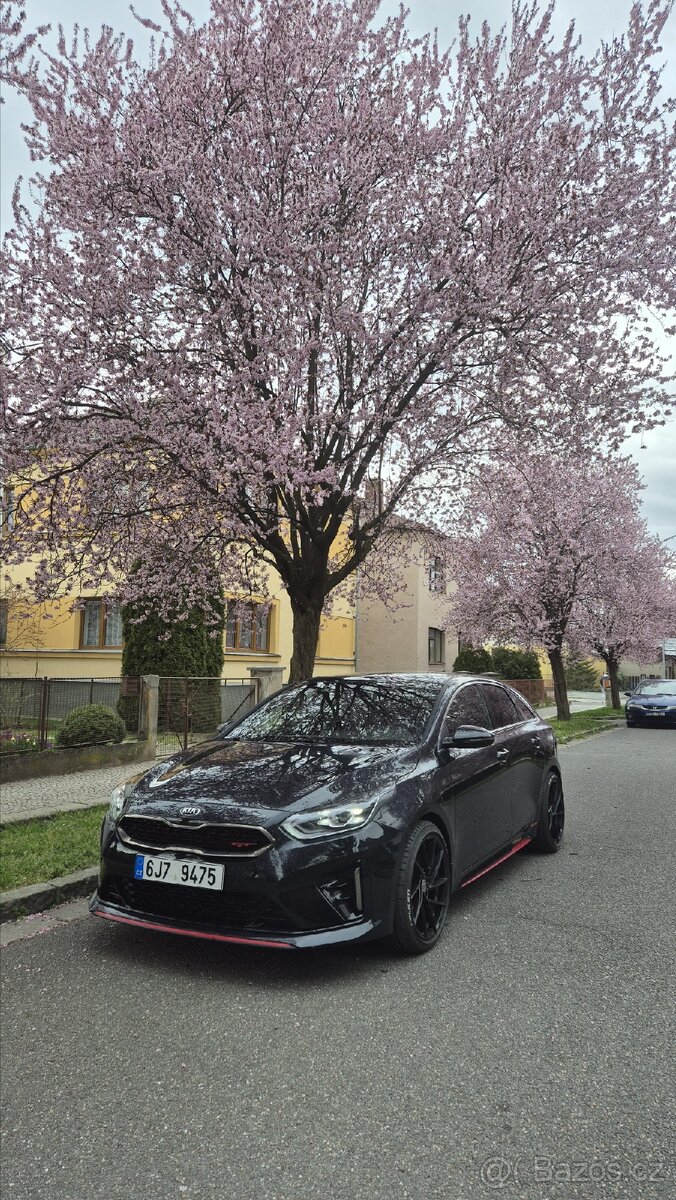 Kia proceed gt "čert"
