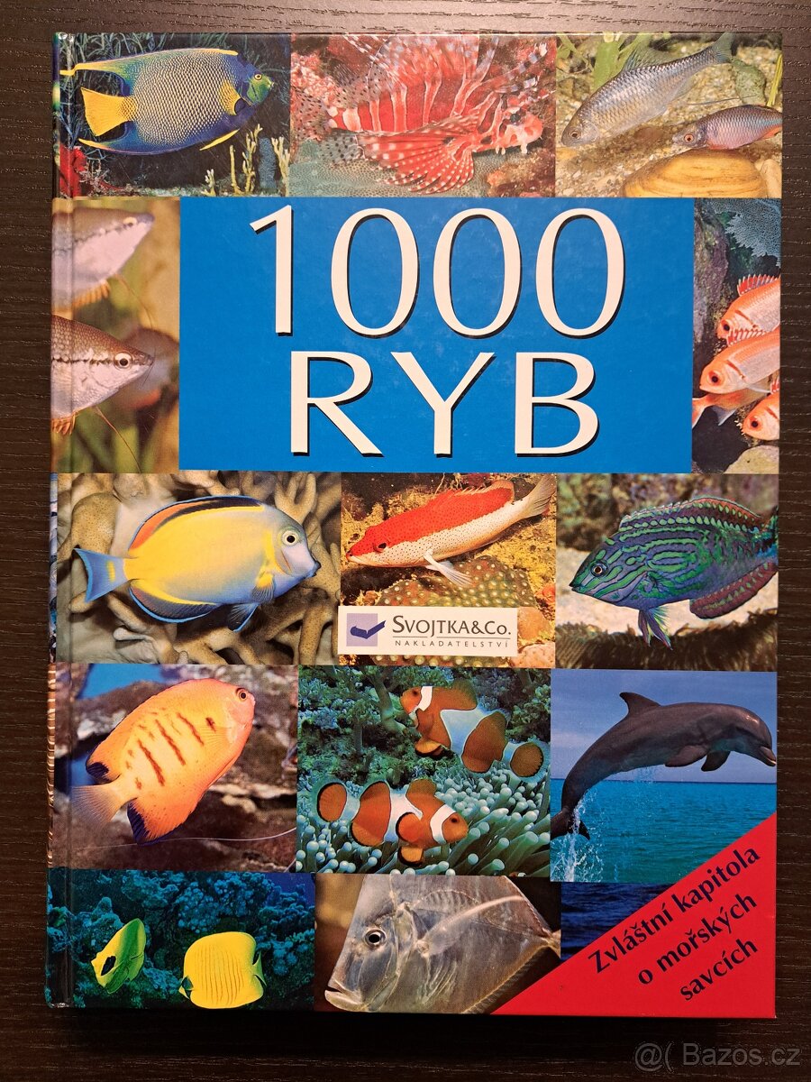 1000 ryb
