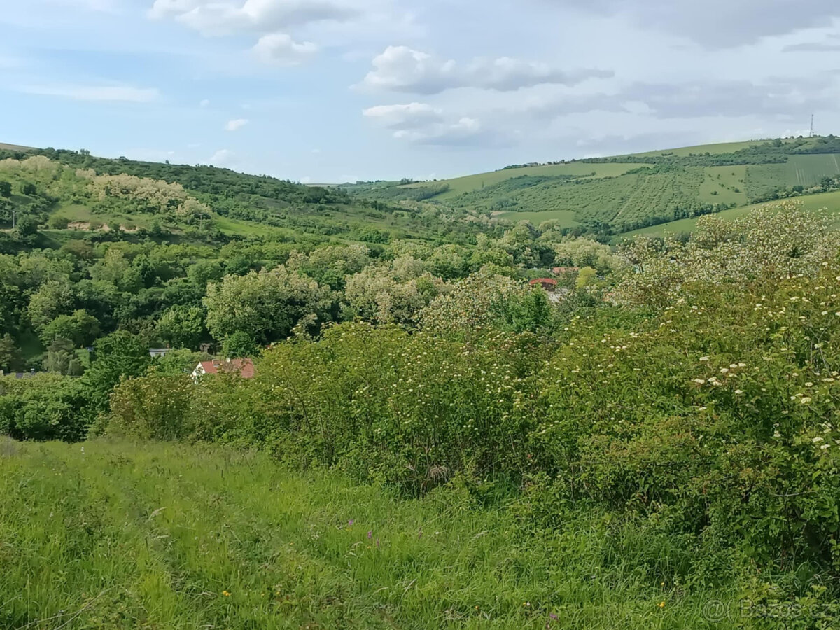 Kurdějov