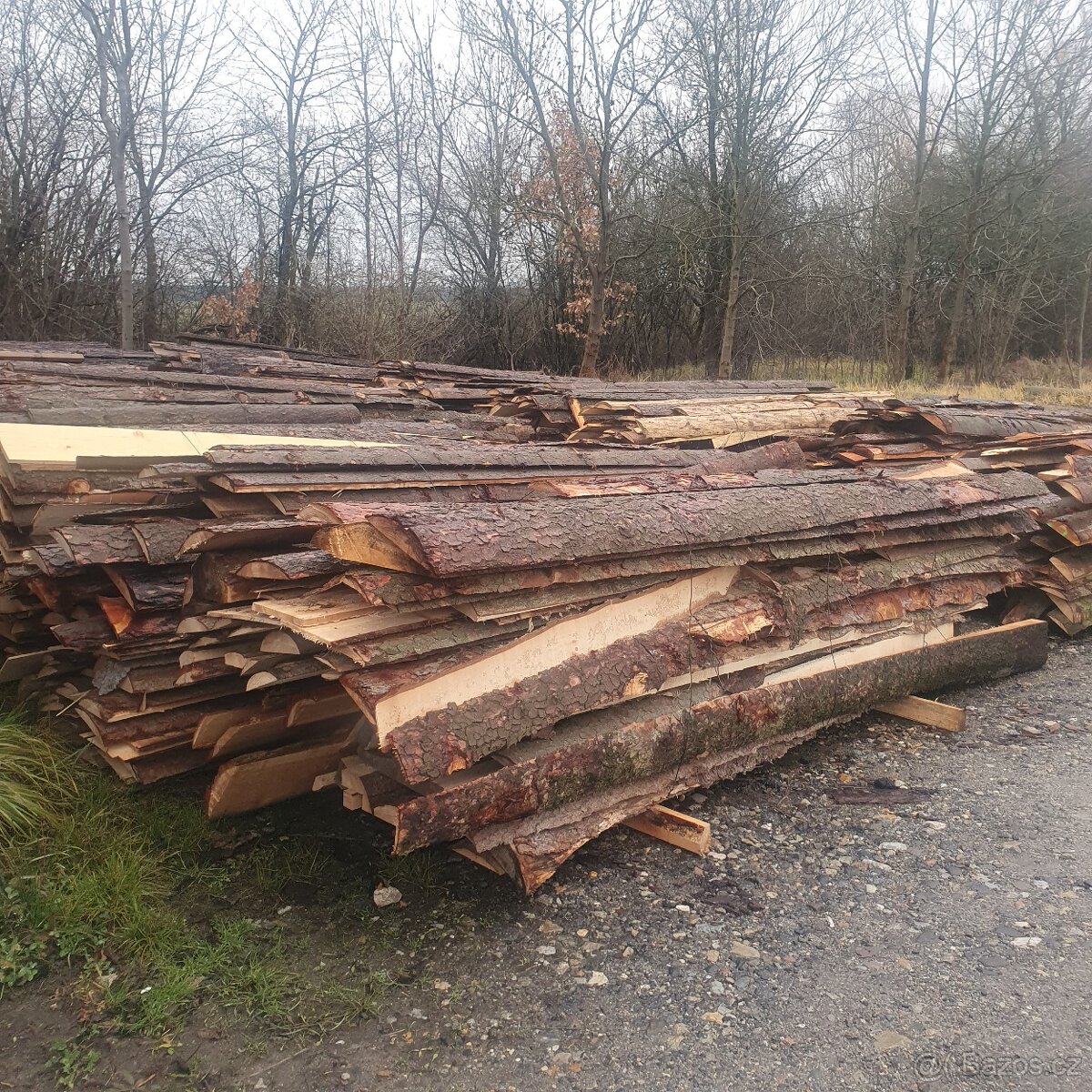 Palivo borovice smrk