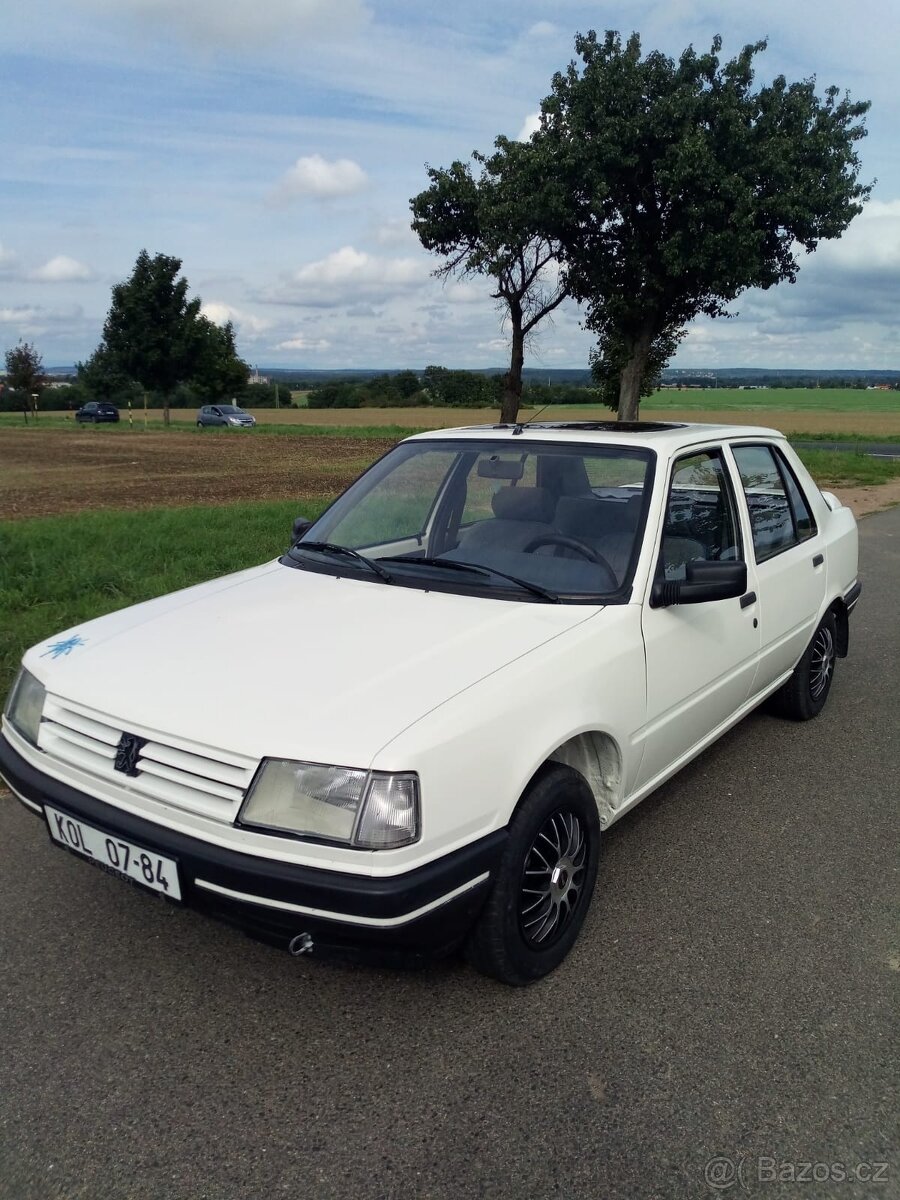 Peugeot 309