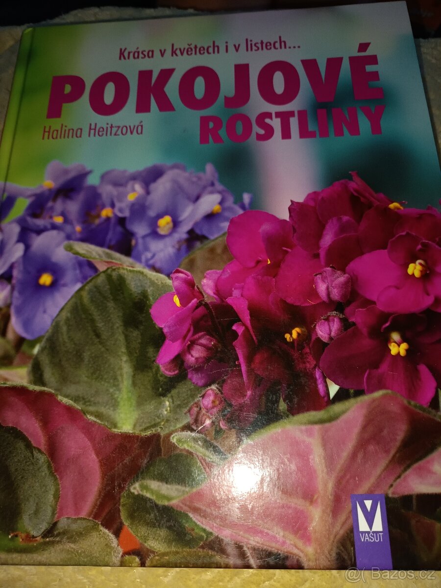 Pokojové rostliny - Halina Heitzová