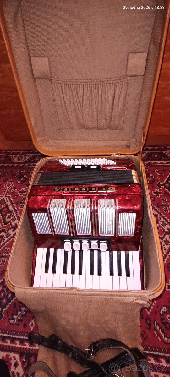 akordeon Delicia Junior XIII