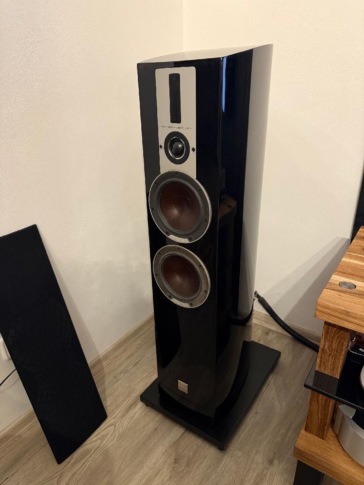 Dali Epicon 6