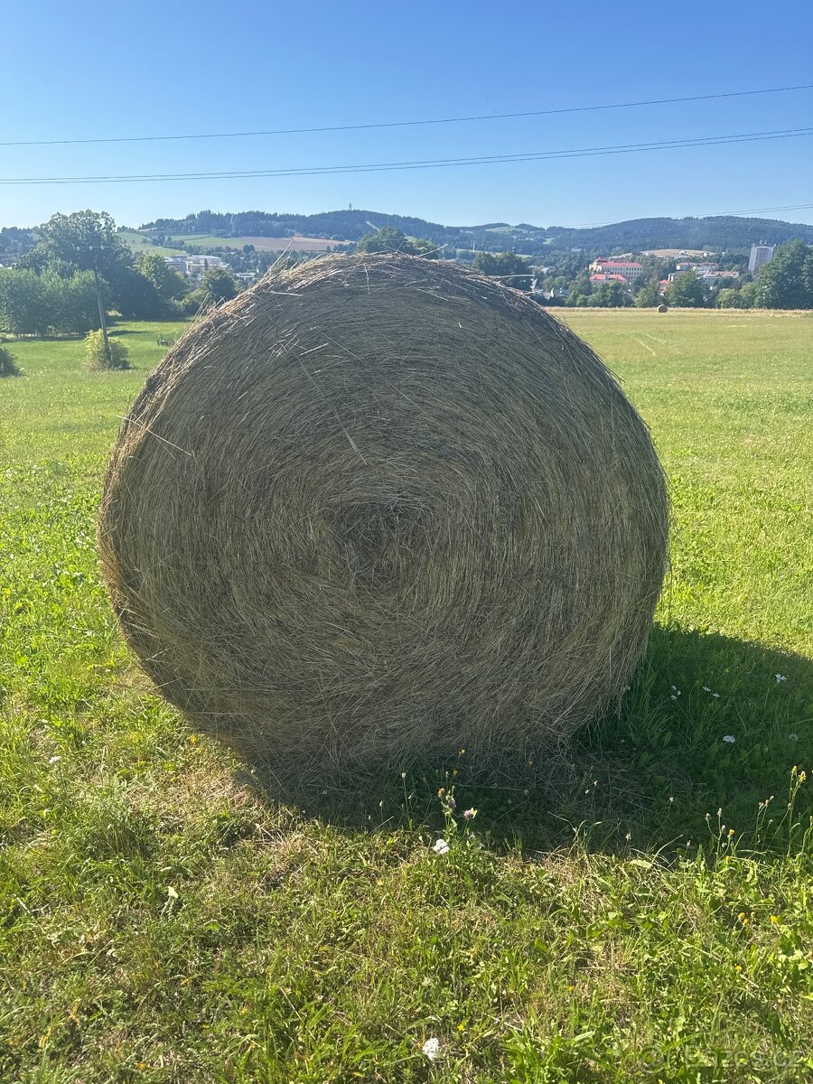Prodám balíky sena 160cm
