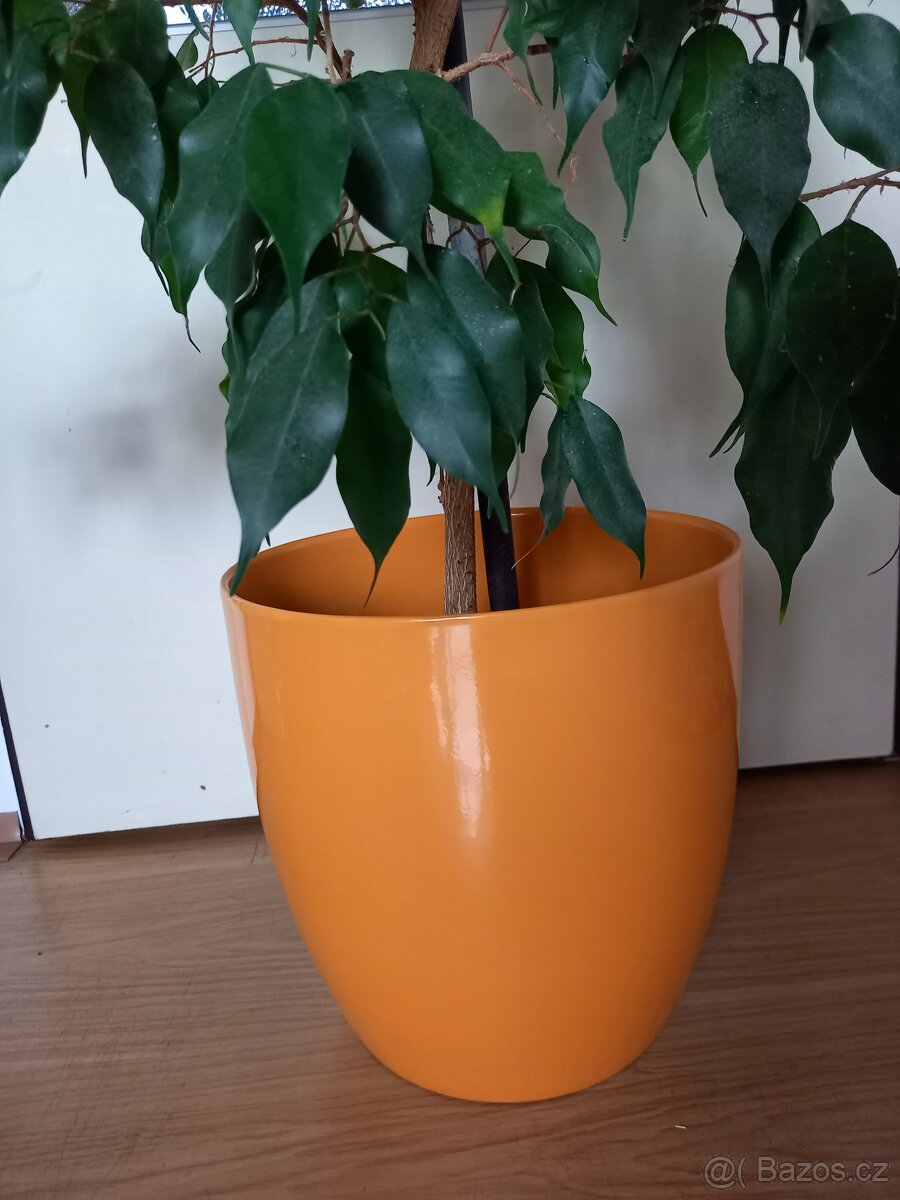 Velký keramický obal na květináč