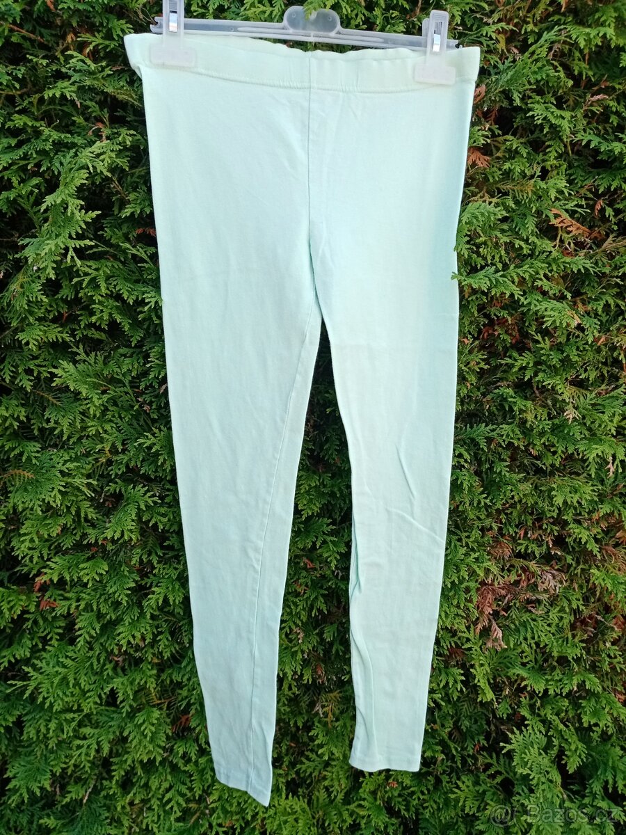 Leginy v. 164