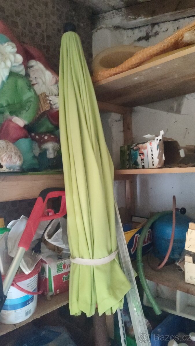 Nepoškozený slunečník - top stav