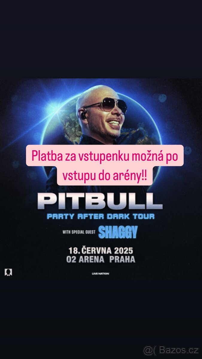 Pitbull Praha