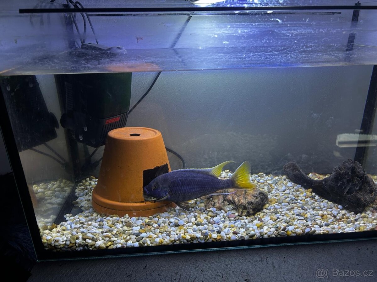 Kompletní akvárium se skřinkou