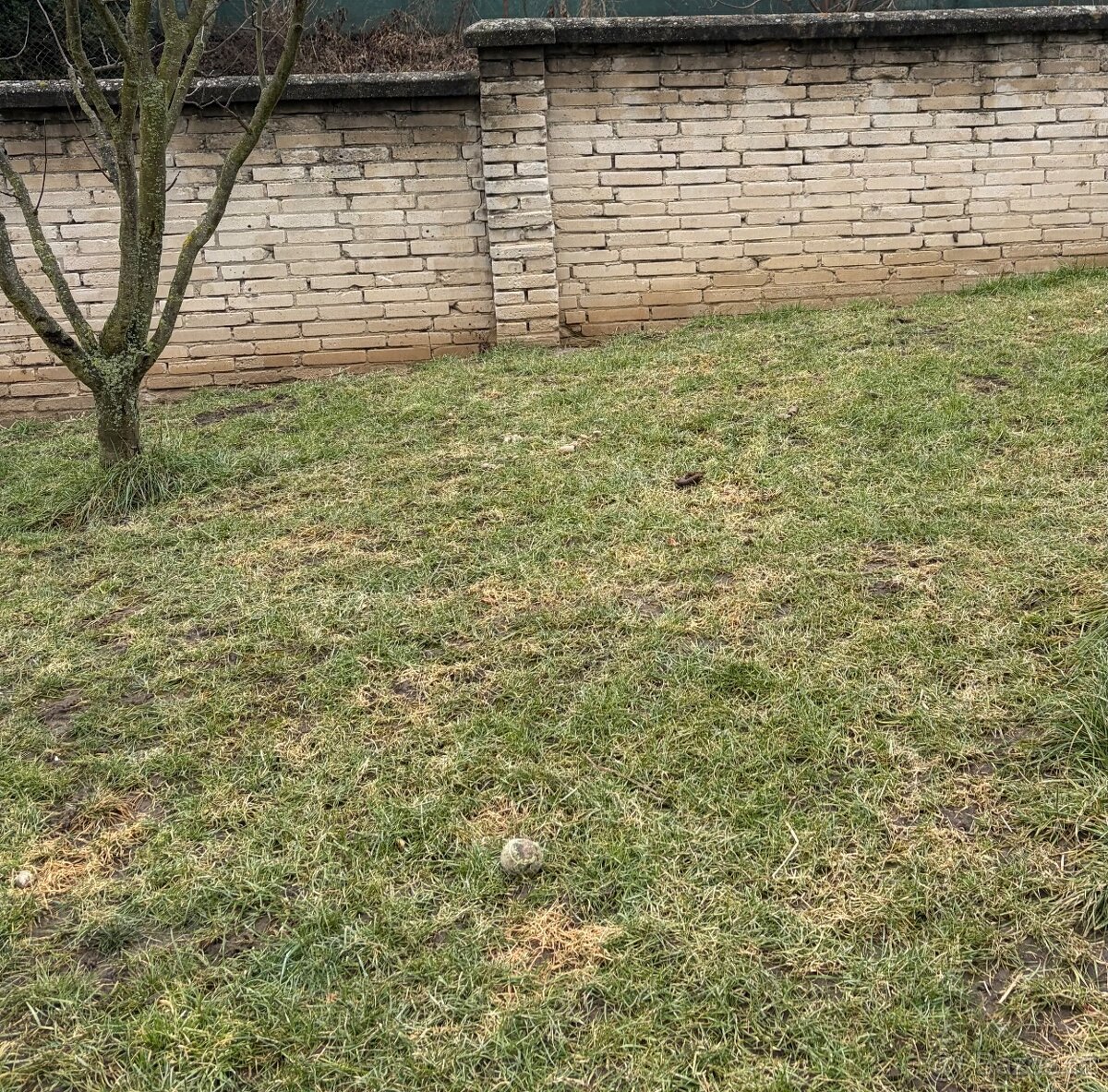 Cihly z plotu zdarma