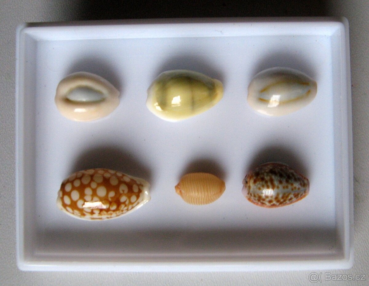 Minisbírka ZAVINUTCI