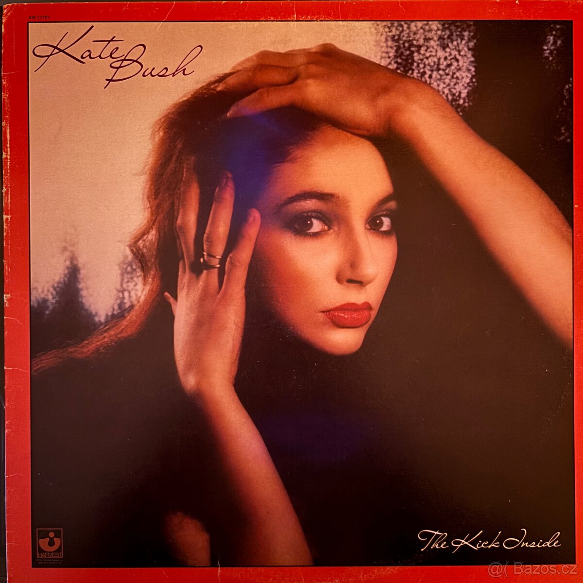 Kate Bush - The Kick Inside