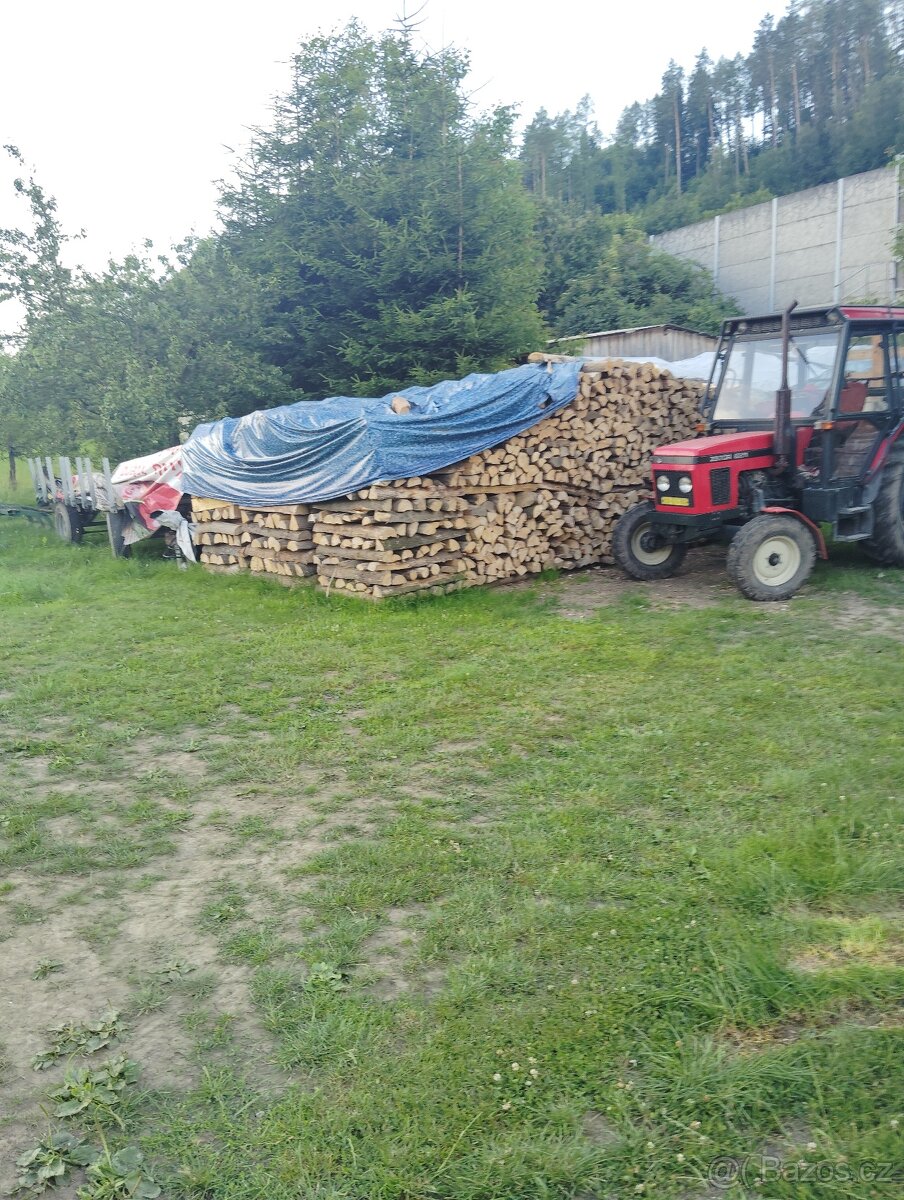 Palivové dřevo tvrdé