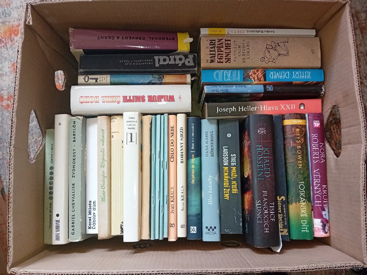 Sbírka knih České a zahraniční literatury