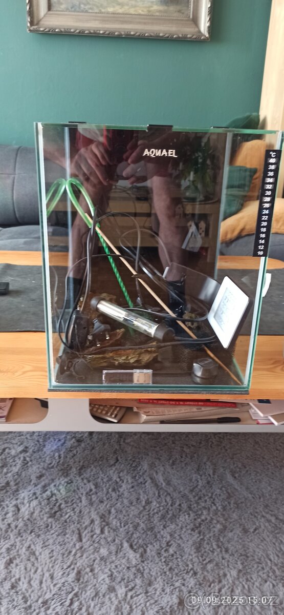 Prodám mini akvárium.krevetárium