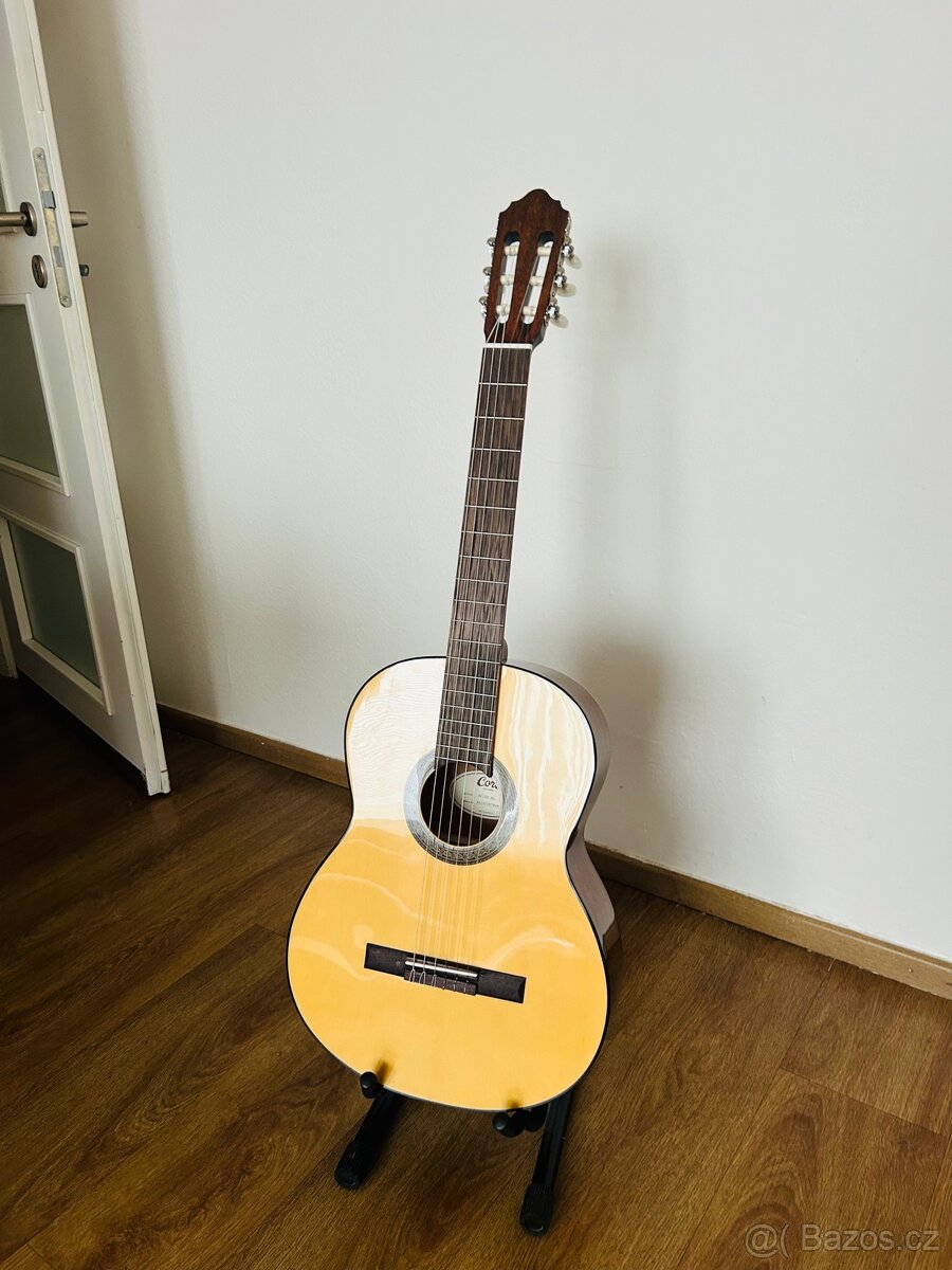 Cort AC100SG