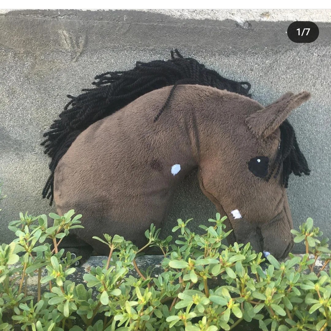 Hobby horse