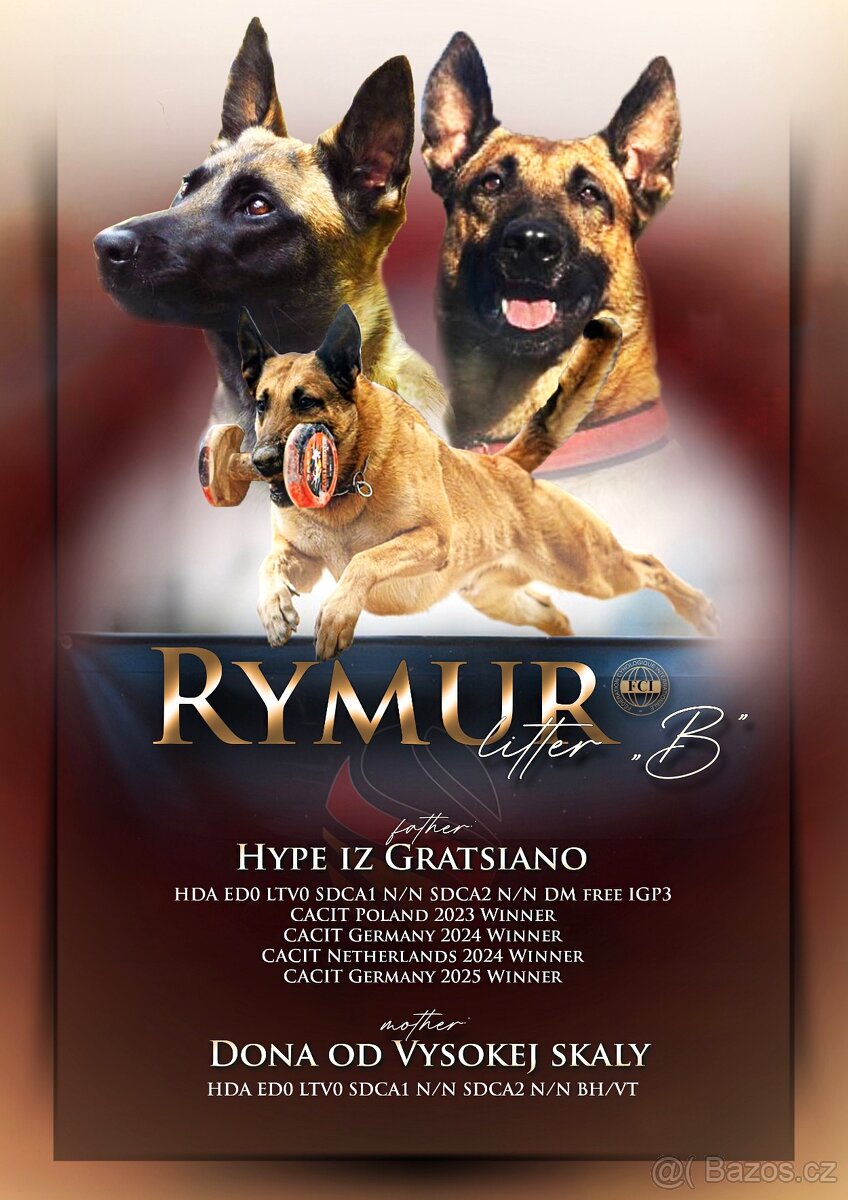 Belgický ovčák - Malinois s PP
