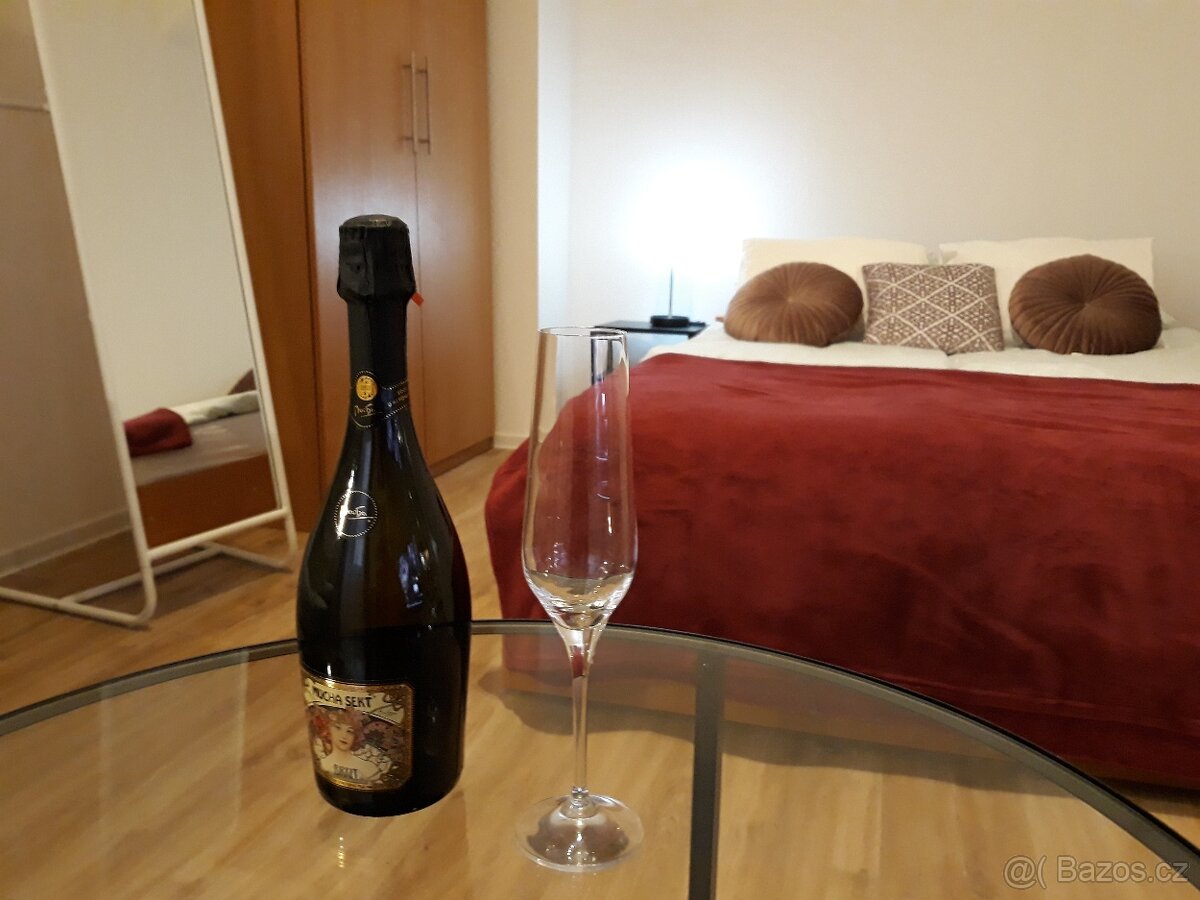 Ateliér 1+1 blízko Palmovky