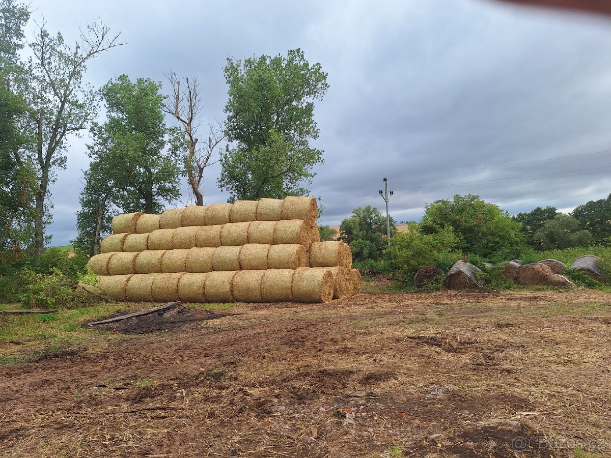 Balíky ječmen sláma (130cm)