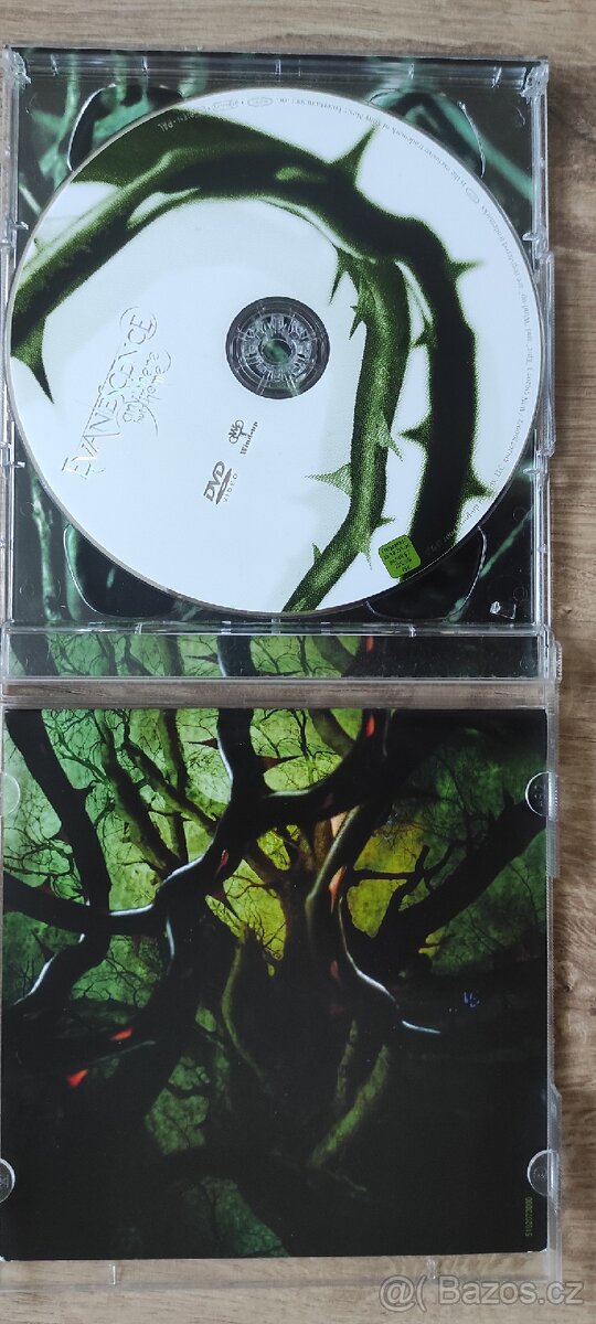 DVD Evanescence