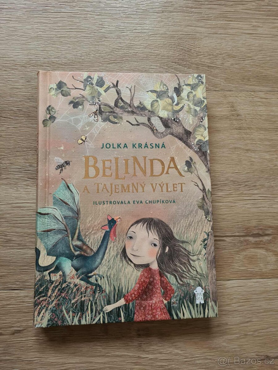 Kniha Belinda a tajemný výlet