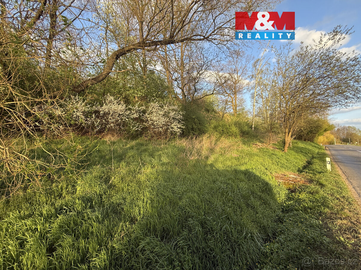 Prodej louky, pole v Bošíně