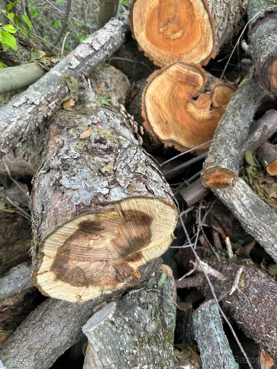 Palivové dřevo, dříví