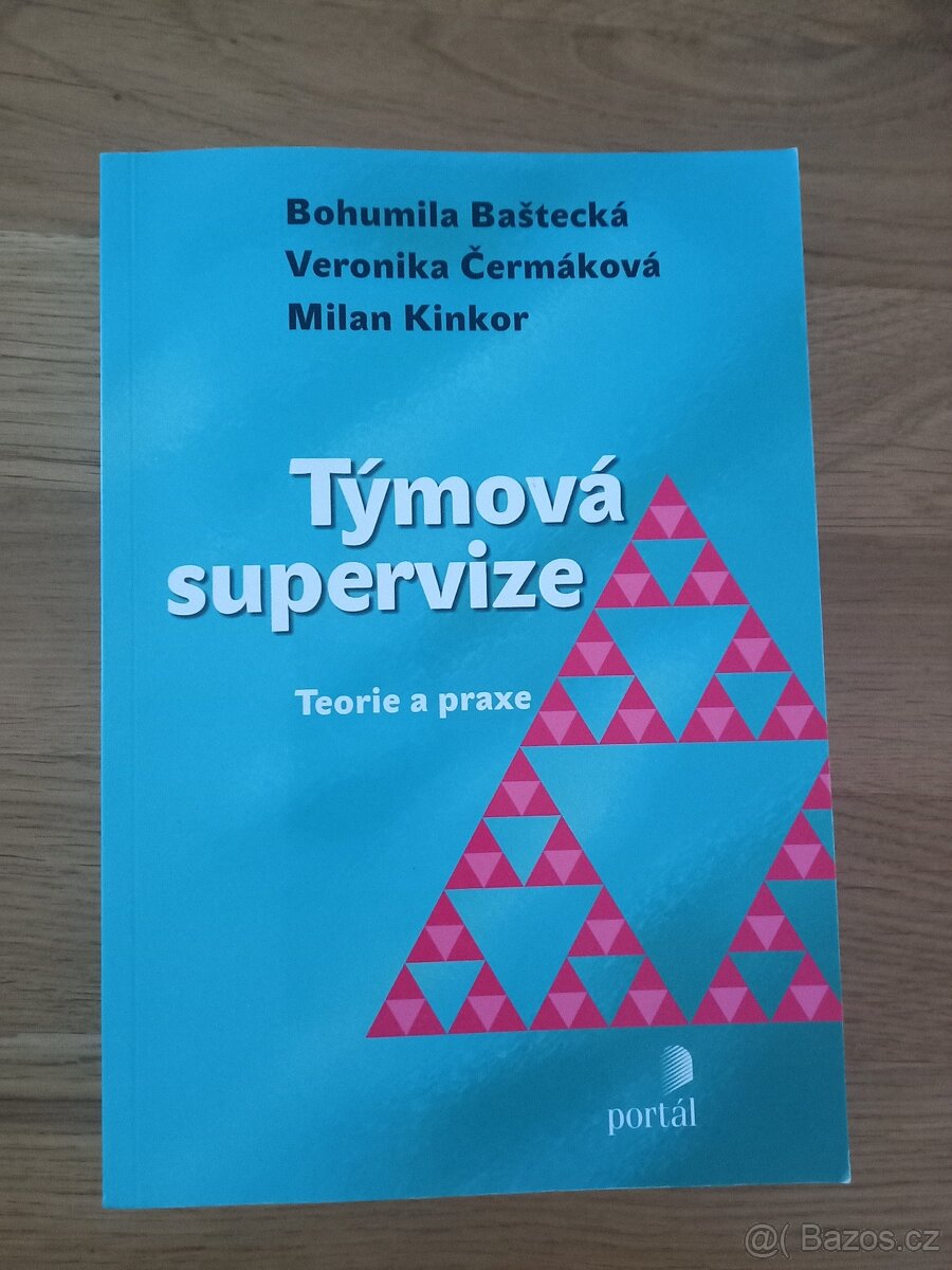Týmová supervize (Portál)
