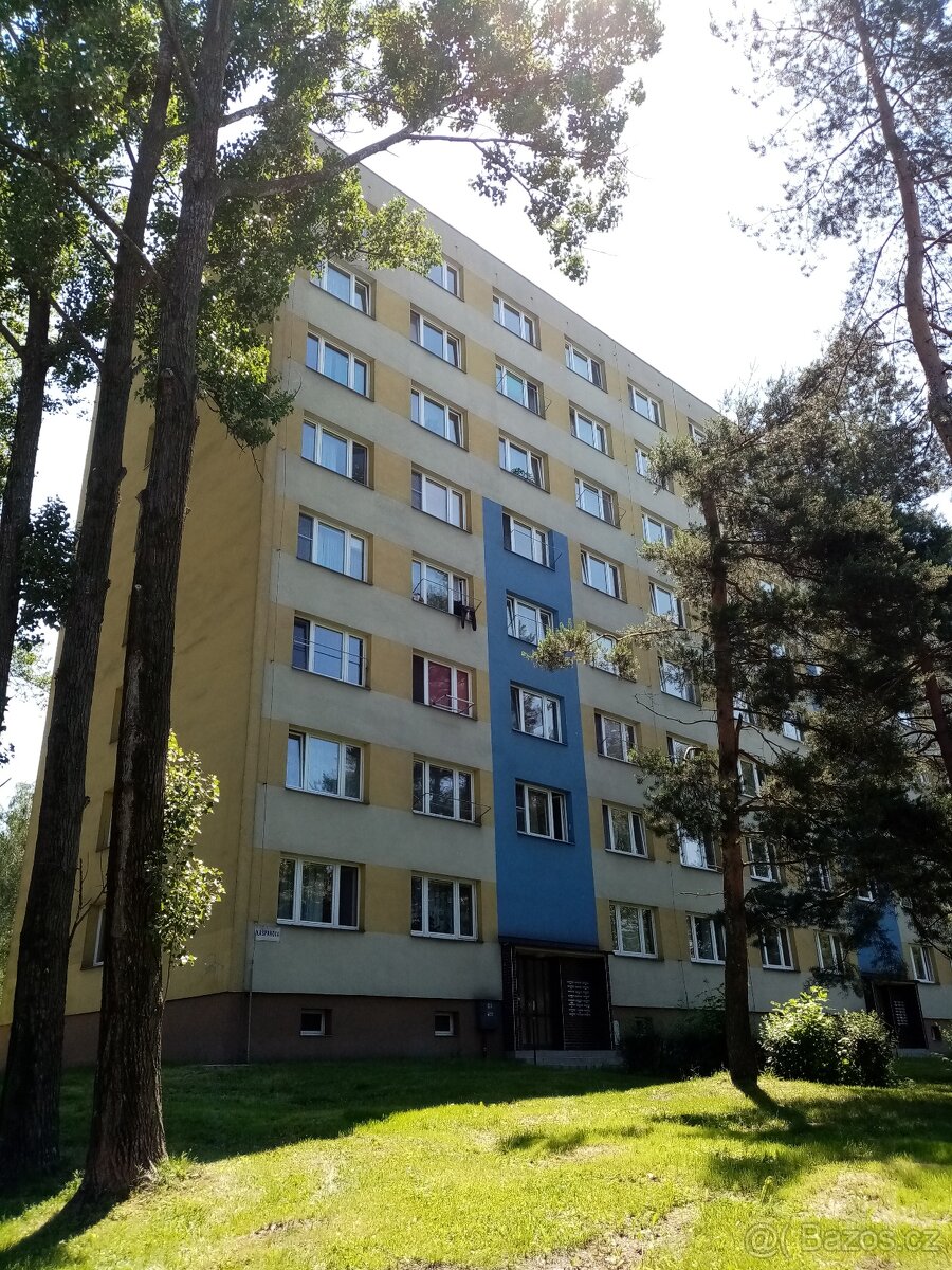 Pronájem bytu 1+1 v Karviné, ul.Kašparova