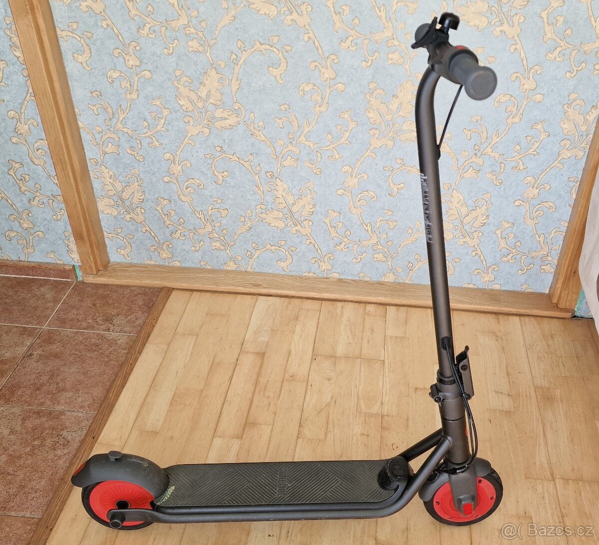 Ninebot eKickscooter C20