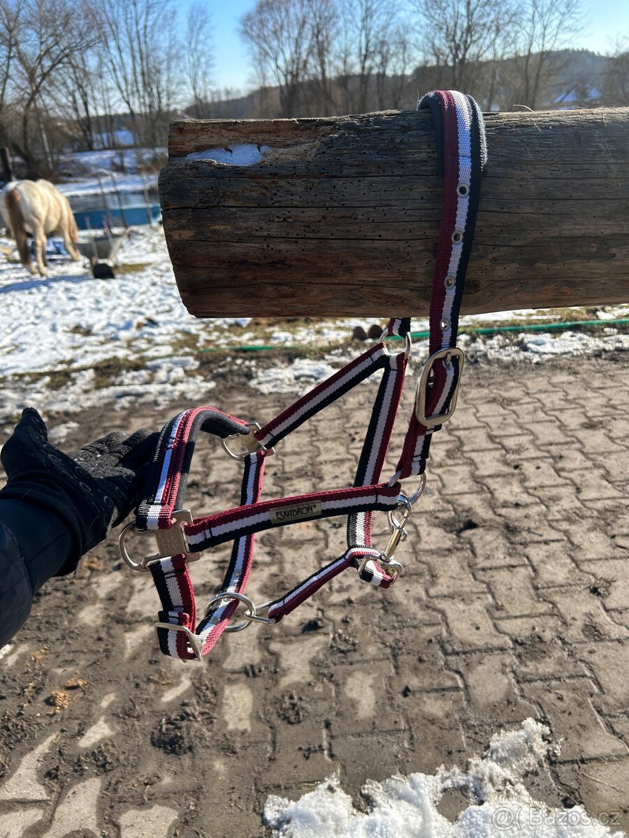 Eskadron Dark Red ohlávka