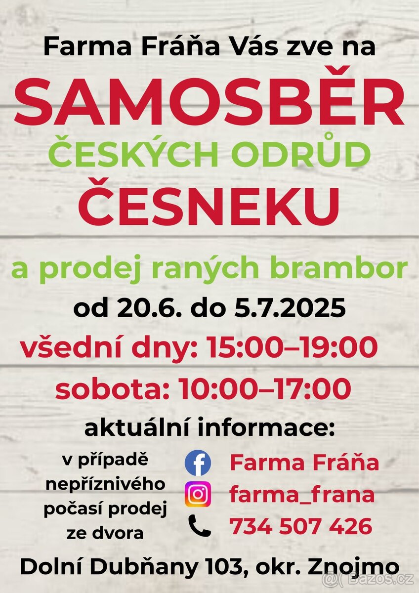 SAMOSBĚR ČESNEKU