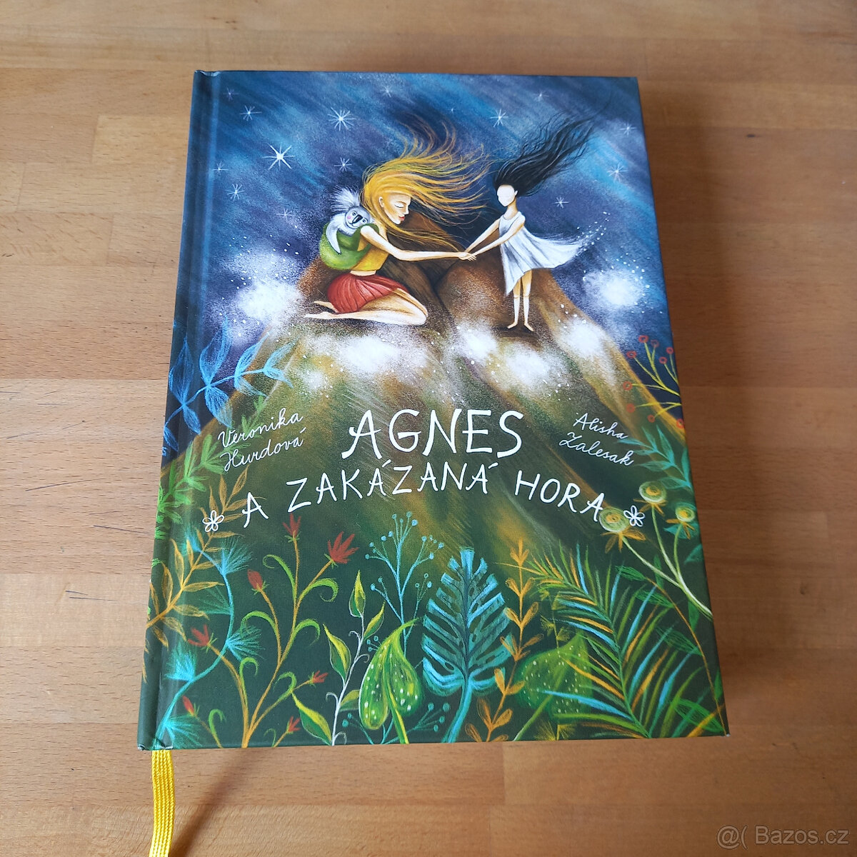 Agnes a zakázaná hora Veronika Hurdová